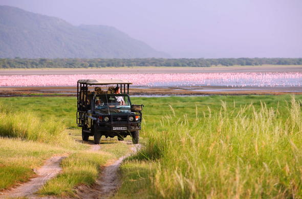 3 Days Tanzania  Wildlife Safaris, Lake Manyara, Ngorongoro Crater & Tarangire National Park